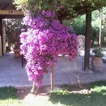 Joanna's Lassi (Kefalonia)
