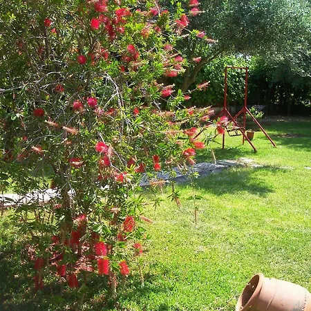 Joanna's Appartement Lassi (Kefalonia)