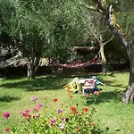 Joanna's * Lassi (Kefalonia)