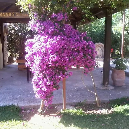 Joanna's Lassi (Kefalonia)