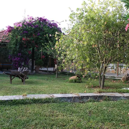 Appartamento Joanna's Lassi (Kefalonia)