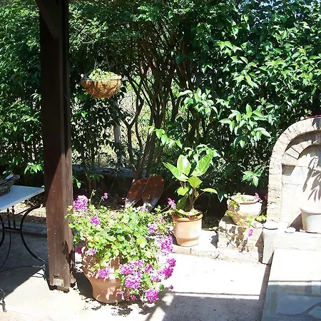 Joanna's Daire Lassi (Kefalonia)