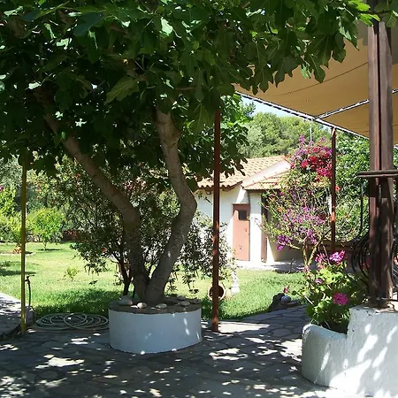 Joanna's * Lassi (Kefalonia)