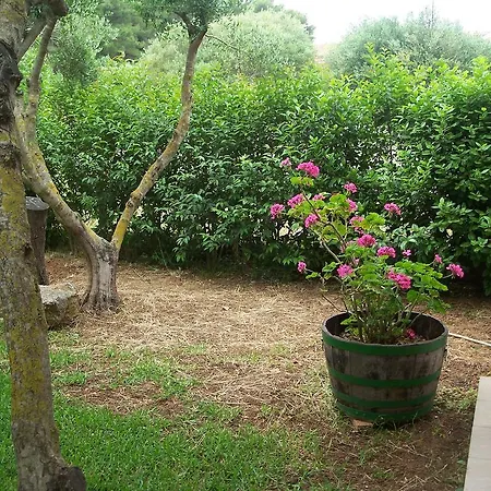 Joanna's Daire Lassi (Kefalonia)