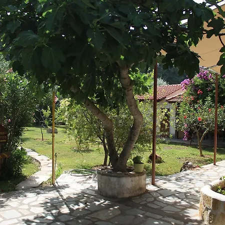 Joanna's Daire Lassi (Kefalonia)